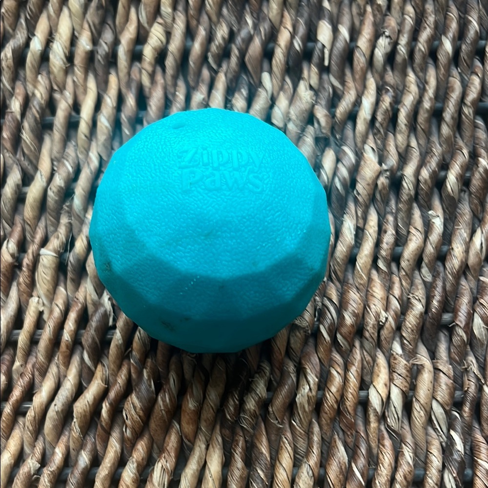 ZippyPaws Blue Dog Toy